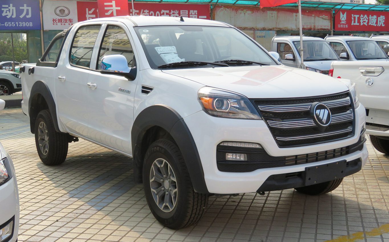 Foton Savanna — ảnh 2