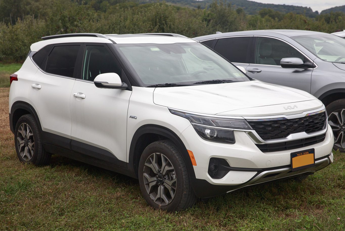 Kia Seltos — ảnh 5
