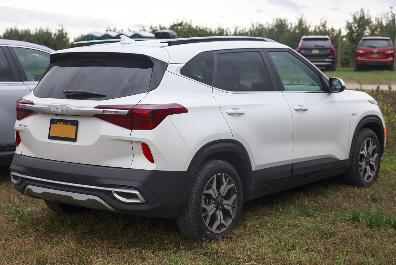 Kia Seltos — ảnh 6