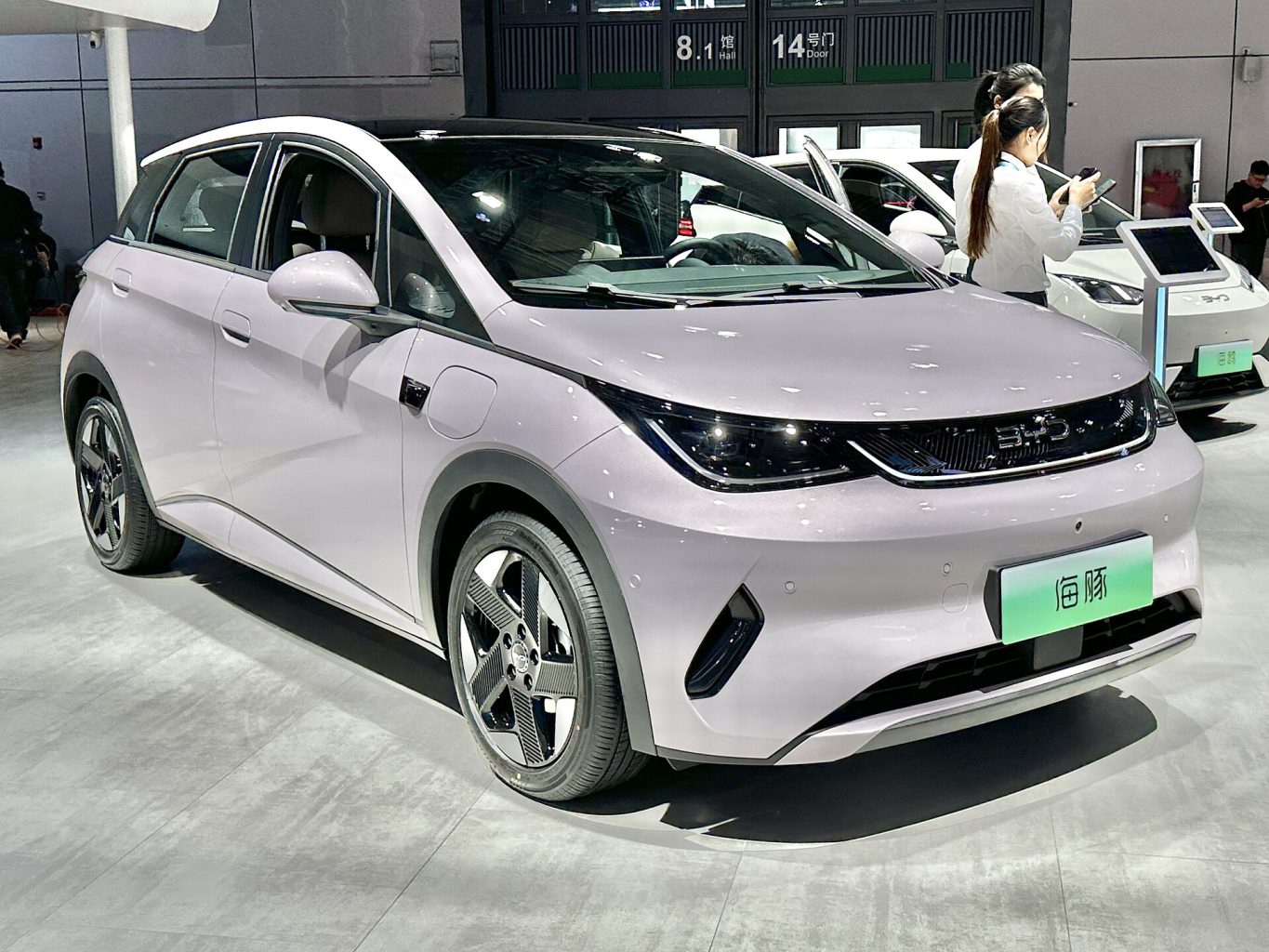 BYD Dolphin — ảnh 8
