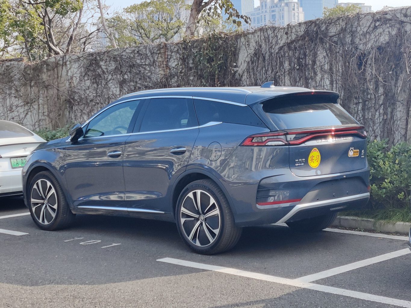 BYD Tang — ảnh 8