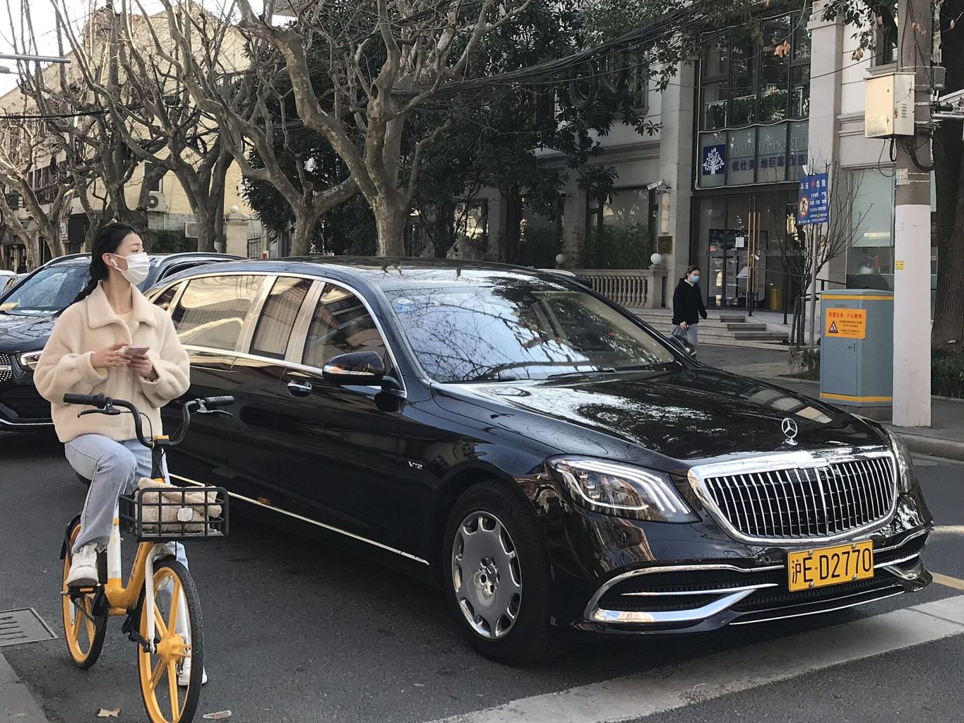 Mercedes-Maybach S-Class — ảnh 9